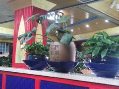 -齐海鱼圣深海石斑鱼火锅店(极地海洋世界店)