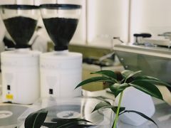 -Onirii Coffee(长乐路店)