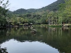 -呀诺达热带雨林