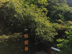 -梦幻奥陶纪景区