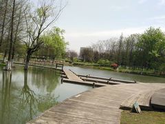 -白塘生态植物园