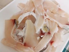 脆鲩鱼腩-中山脆肉鲩(新圳东路店)