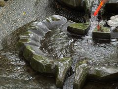 -成都市活水公园