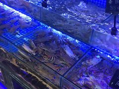 水产区-渔民船说·北塘海鲜·天津菜·海肠捞饭(北塘古镇店)