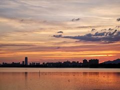 -西山漾湿地公园