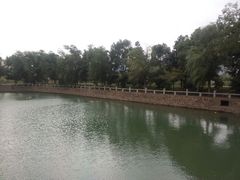 android_upload_pic-旺山景区