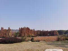 -东湖磨山景区