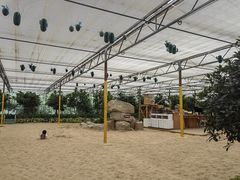 -南宫五洲植物乐园