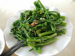 猪油渣炒迟菜心-荔枝红五号农庄