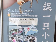 -青岛海景花园大酒店