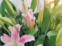 -双季花艺园艺市场(浦东店)