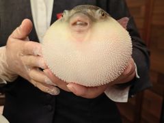 -永安鱼庄·镇江菜(东吴路店)