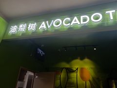 -油梨树AVOCADO TREE(顺义新国展店)