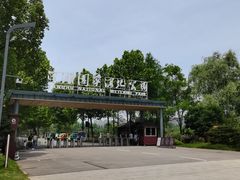 -洋湖国家湿地公园