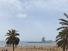 -小巴塞罗那海滩
