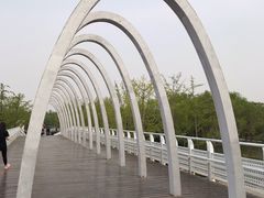 -大兴滨河森林公园