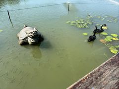 -昆山城市生态森林公园