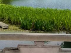 -巡塘古镇