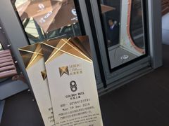 -影汇之星8字形摩天轮