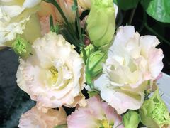 -何兮花店·气球派对鲜花店(马桥银春路万科城店)