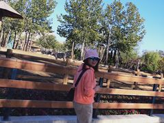 -大连森林动物园