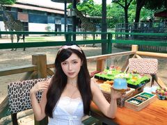-灵玲国际马戏城