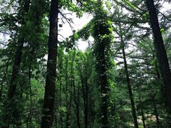 -崂山九水游览区