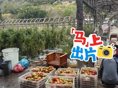 -丹樱生态园