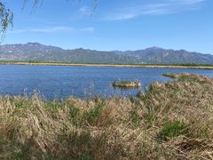 -野鸭湖国家湿地公园