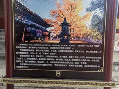 -红螺寺