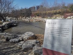 -大望京公园