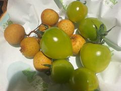 -季季山·云南野生菌火锅(上海首店)