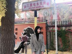 -三里屯东五街银杏大道