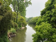 -上海滨江森林公园