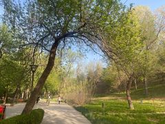 -元大都城垣遗址公园