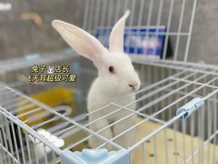 -SHRIMP CLUB万东餐饮钓虾·清吧