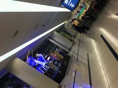 -中部国际机场