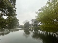 -西湖游船