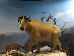 -陕西自然博物馆