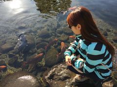 -水前寺成趣园