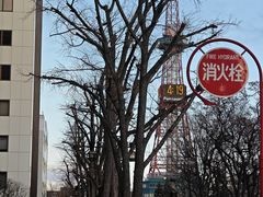 -札幌电视塔