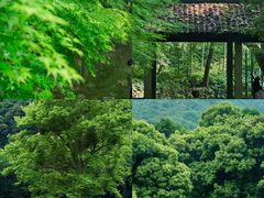 -杭州植物园