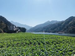 -新安江山水画廊风景区