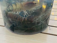 -DGE季风钓虾营地·团建·聚会