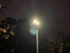 -四川大学(望江校区)