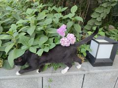 -老北京风情街