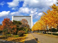 -东北大学(南湖校区)