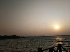 -丁香湖公园