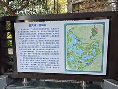 -荔湾湖公园