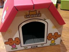 -爱宠屋pet shop·宠物洗澡·宠物美容